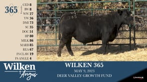Lot #365 - WILKEN 365