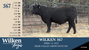 Lot #367 - WILKEN 367