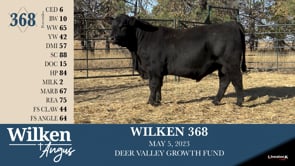 Lot #368 - WILKEN 368