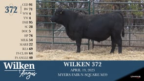 Lot #372 - WILKEN 372