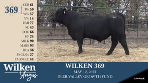 Lot #369 - WILKEN 369