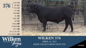 Lot #376 - WILKEN 376