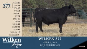 Lot #377 - WILKEN 377