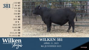 Lot #381 - WILKEN 381