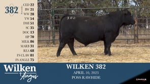 Lot #382 - WILKEN 382