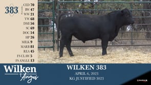 Lot #383 - WILKEN 383