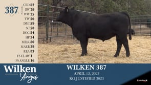 Lot #387 - WILKEN 387