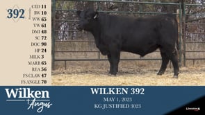Lot #392 - WILKEN 392