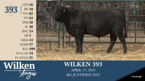 Lot #393 - WILKEN 393