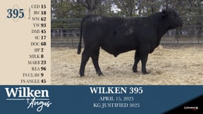Lot #395 - WILKEN 395