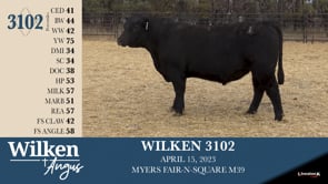 Lot #3102 - WILKEN 3102