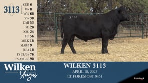 Lot #3113 - WILKEN 3113
