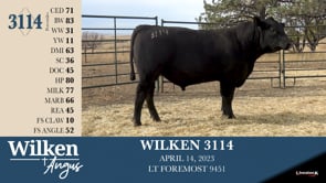 Lot #3114 - WILKEN 3114