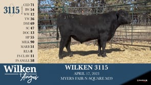 Lot #3115 - WILKEN 3115