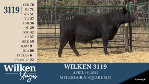 Lot #3119 - WILKEN 3119