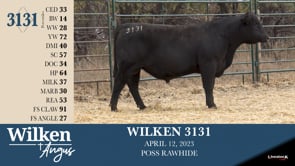 Lot #3131 - WILKEN 3131