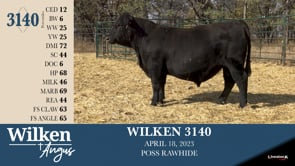 Lot #3140 - WILKEN 3140