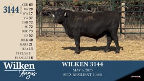 Lot #3144 - WILKEN 3144