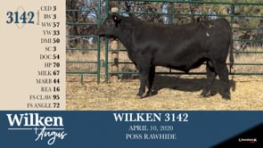 Lot #3142 - WILKEN 3142
