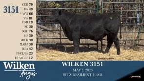 Lot #3151 - WILKEN 3151