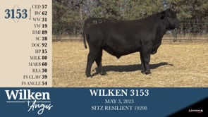 Lot #3153 - WILKEN 3153