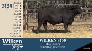 Lot #3159 - WILKEN 3159