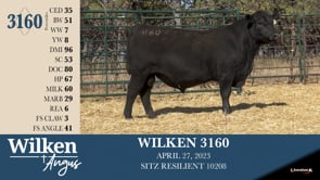 Lot #3160 - WILKEN 3160