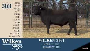 Lot #3161 - WILKEN 3161