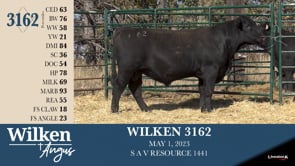 Lot #3162 - WILKEN 3162