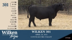 Lot #301 - WILKEN 301