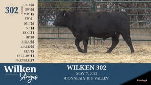 Lot #302 - WILKEN 302