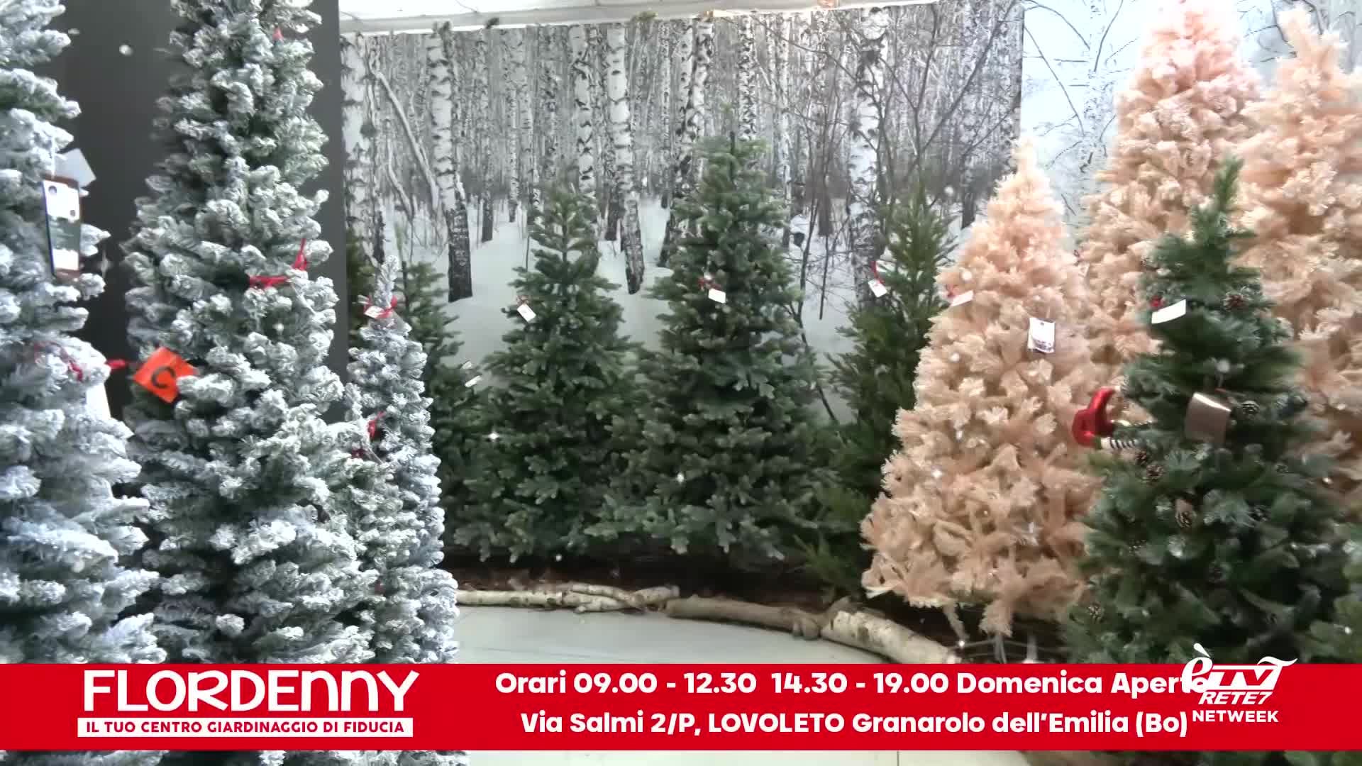 Il Pallone Nel 7 –  Puntata del 11/11/2024