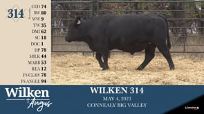 Lot #314 - WILKEN 314