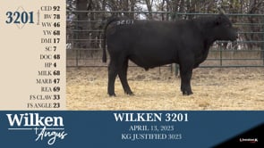 Lot #3201 - WILKEN 3201