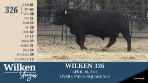 Lot #326 - WILKEN 326