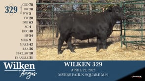 Lot #329 - WILKEN 329