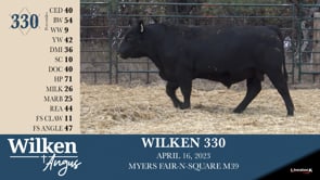Lot #330 - WILKEN 330