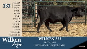 Lot #333 - WILKEN 333