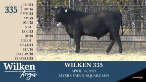 Lot #335 - WILKEN 335