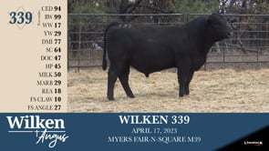 Lot #339 - WILKEN 339