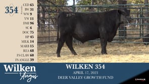Lot #354 - WILKEN 354
