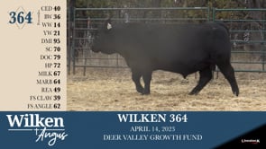 Lot #364 - WILKEN 364