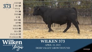 Lot #373 - WILKEN 373