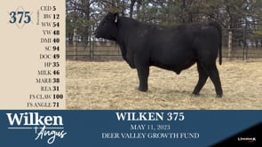 Lot #375 - WILKEN 375