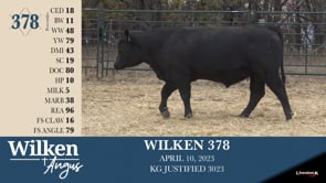 Lot #378 - WILKEN 378