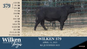 Lot #379 - WILKEN 379