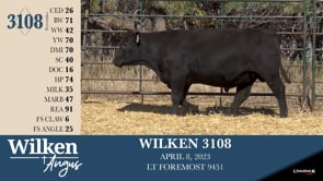 Lot #3108 - WILKEN 3108