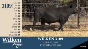 Lot #3109 - WILKEN 3109