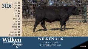 Lot #3116 - WILKEN 3116