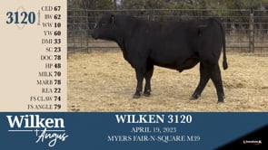 Lot #3120 - WILKEN 3120